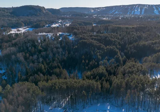 Terrain à vendre -  Ch. des Basques, Saint-Sauveur, J0R 1R7