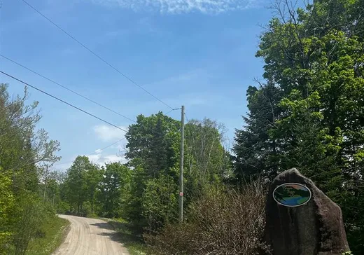 Land for sale -  Ch. du Petit-Pont, St-Adolphe d'Howard, J0T2B0