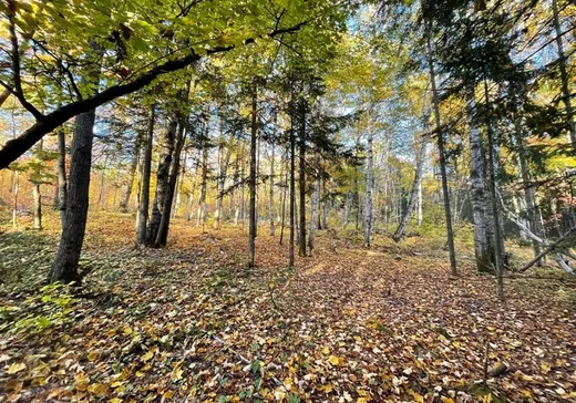 Terrain à vendre -  Ch. des Hauteurs, Ste-Lucie, J0R 2J0