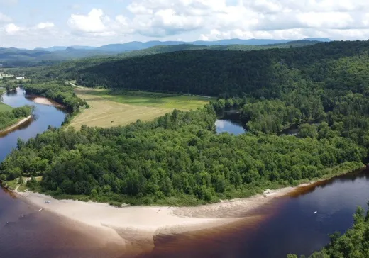Terrain à vendre - 2725 Route des Tulipes, Mont-Tremblant, J0T 1M0