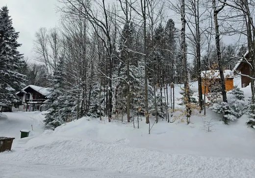 Terrain à vendre -  Mtée Rosa, Sainte-Agathe-des-Monts, J8C0T6