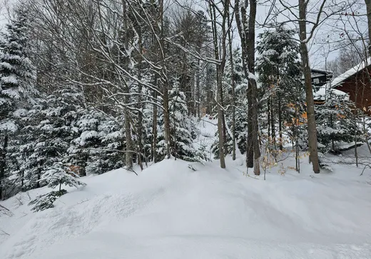 Terrain à vendre -  Mtée Rosa, Sainte-Agathe-des-Monts, J8C 0T6