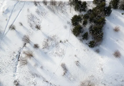 Terrain à vendre -  Rue des Ormes, Mont-Laurier, J9L 3G7