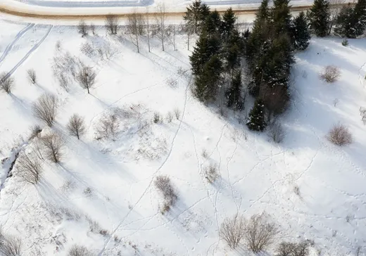 Terrain à vendre -  Rue des Ormes, Mont-Laurier, J9L 3G7