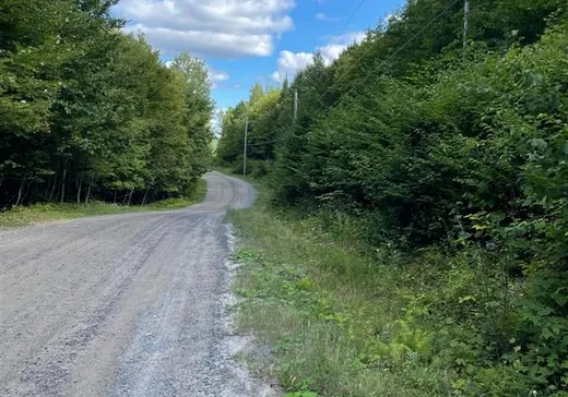 Land for Sale - 2062 Ch. du Lac-Veillette S., Clova, G0X 3M0