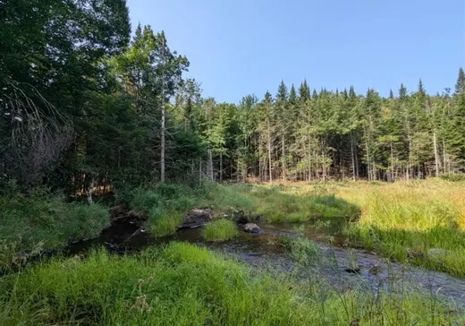 Land for Sale - 2062 Ch. du Lac-Veillette S., Clova, G0X 3M0