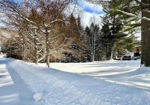 Terrain à vendre -  Rue Tamarac, Val David, J0T2N0