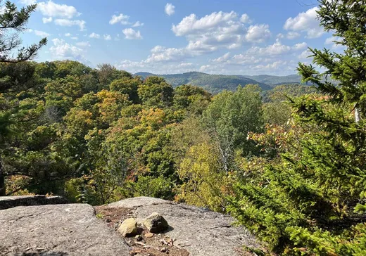 Terrain à vendre -  Ch. de la Montagne, Sainte-Adèle, J8B 1B9