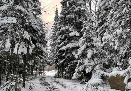 Terrain à vendre -  Ch. des Hauteurs, Ste-Lucie, J0R2J0