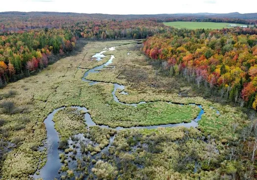 Terrain à vendre - 206 Rue Principale O., Sainte-Anne-de-la-Rochelle, J0E2B0