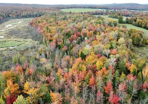 Terrain à vendre - 206 Rue Principale O., Sainte-Anne-de-la-Rochelle, J0E 2B0