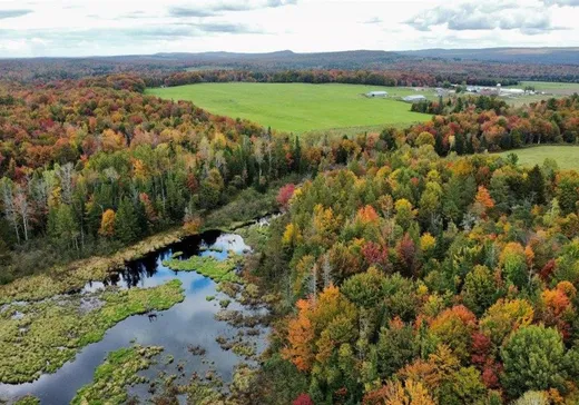 Terrain à vendre - 206 Rue Principale O., Sainte-Anne-de-la-Rochelle, J0E 2B0