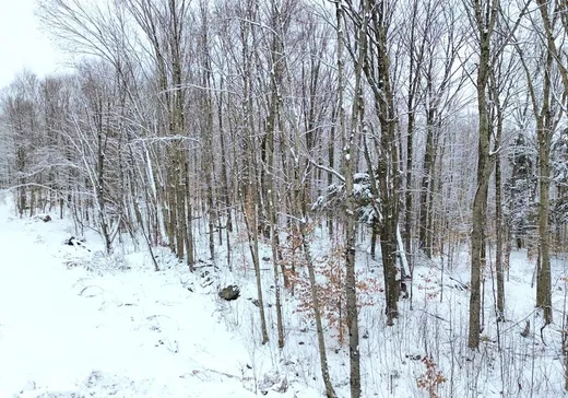 Terrain à vendre -  Place de la Colline, Eastman, J0E 1P0