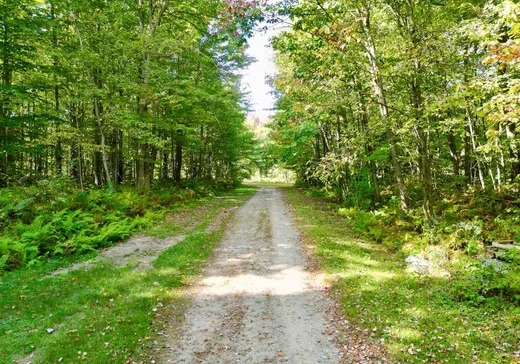 Land for Sale - 5760 4e Rang, Saint-Lucien, J0C 1N0