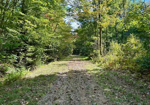 Land for Sale - 5760 4e Rang, Saint-Lucien, J0C 1N0