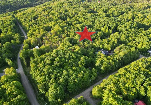 Terrain à vendre - 77 Ch. Luc-Valence, Notre-Dame-Des-Boies, J0B 2E0