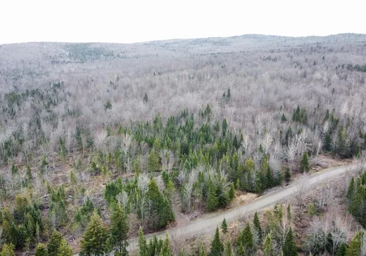 Terrain à vendre -  1er Rang, Notre-Dame-Des-Boies, J0B 2E0