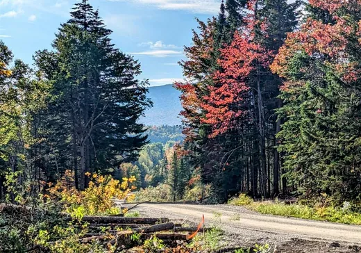 Terrain à vendre -  1er Rang, Notre-Dame-Des-Boies, J0B 2E0
