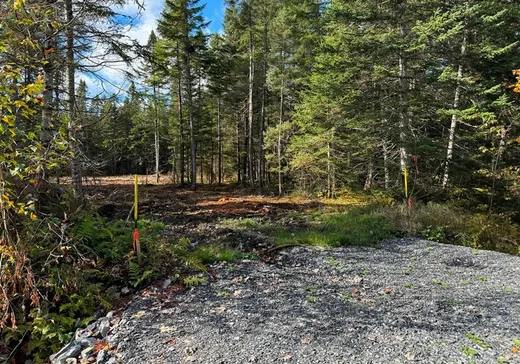 Terrain à vendre -  Ch. du Parc, Lambton, G0M 1H0