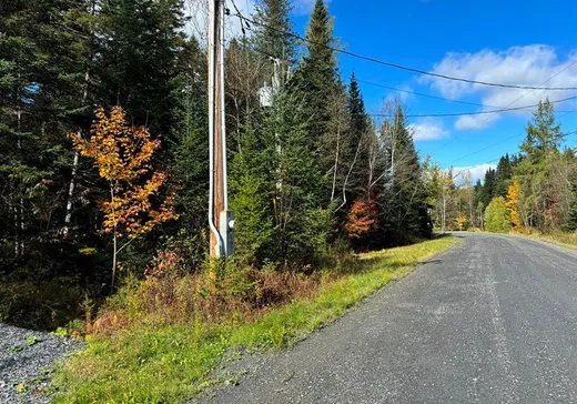 Terrain à vendre -  Ch. du Parc, Lambton, G0M 1H0