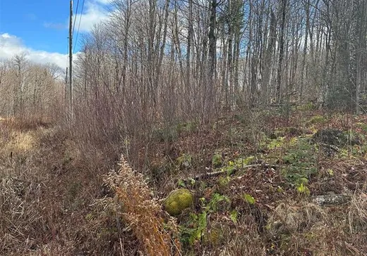 Land for sale -  Ch. Benoit N., Notre-Dame-Des-Boies, J0B2E0