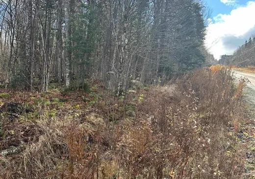 Land for Sale -  Ch. Benoit N., Notre-Dame-Des-Boies, J0B 2E0