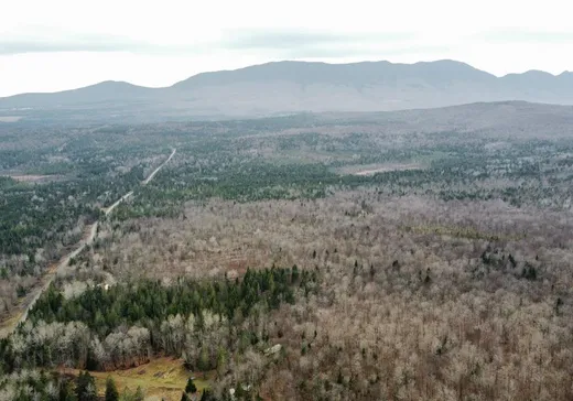 Terrain à vendre -  1er Rang, Notre-Dame-Des-Boies, J0B 2E0