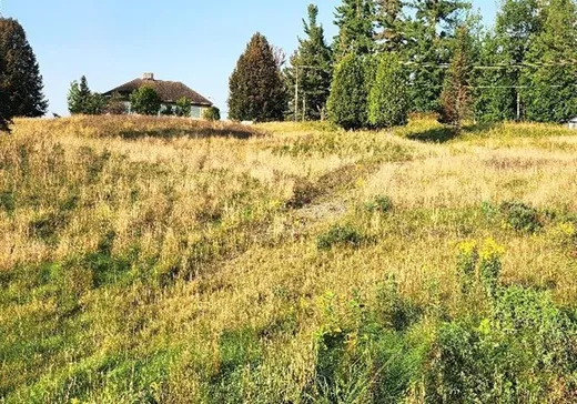 Terrain à vendre - 10 Rue du Parcours, Lac-Brome, J0E 1R0