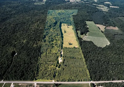 Terrain à vendre - 644Z 8e-et-9e Rang, Inverness, G0S 1K0