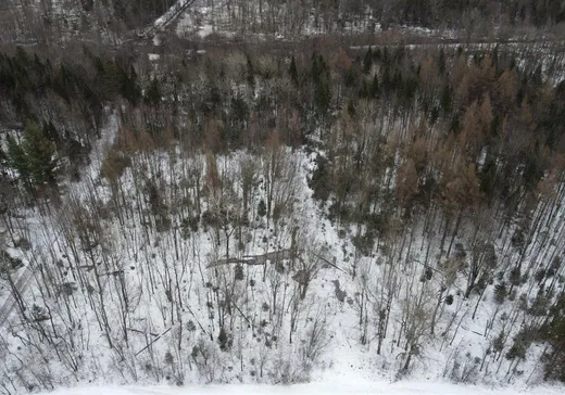 Terrain à vendre -  Route du Plé, Notre-Dame-des-Lourdes, G0S1T0