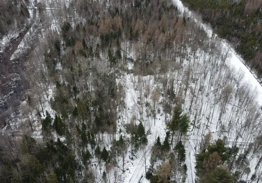 Terrain à vendre -  Route du Plé, Notre-Dame-des-Lourdes, G0S 1T0