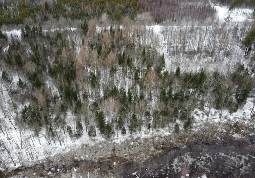 Terrain à vendre -  Route du Plé, Notre-Dame-des-Lourdes, G0S 1T0