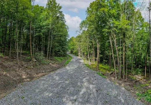Terrain à vendre -  Rue de Huntingdon, Dunham, J0E1M0