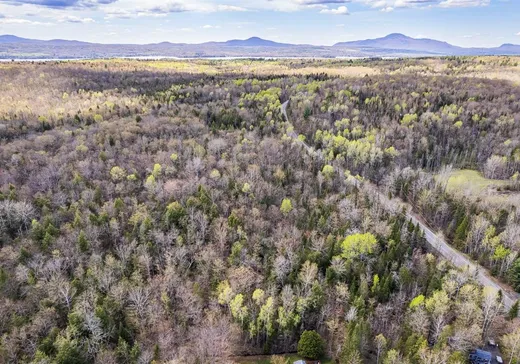 Land for Sale - 266 Ch. Laurendeau, Magog, J1X 0M6