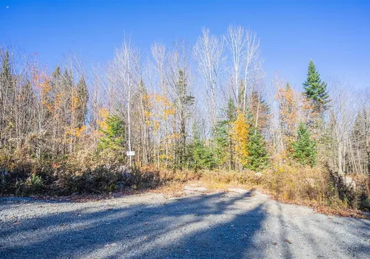 Terrain à vendre - 3 Rue Mozart, St-Alexis-Des-Monts, J0K1V0