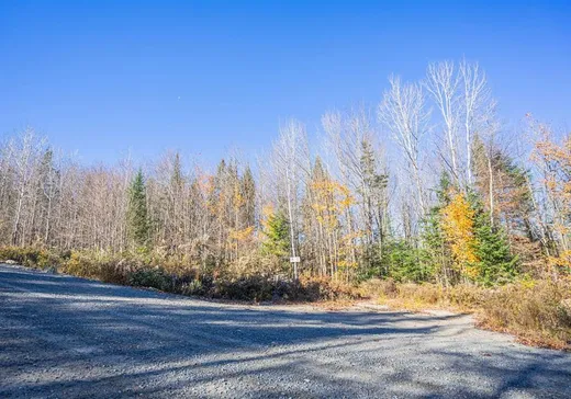 Terrain à vendre - 3 Rue Mozart, St-Alexis-Des-Monts, J0K 1V0