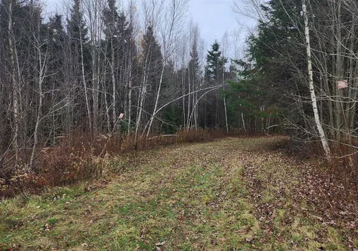 Terrain à vendre -  9e Rang O., Sainte-Françoise, G0S2N0