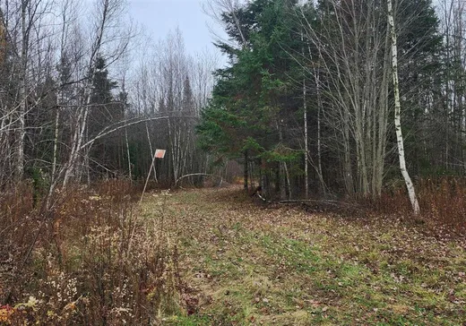Terrain à vendre -  9e Rang O., Sainte-Françoise, G0S 2N0