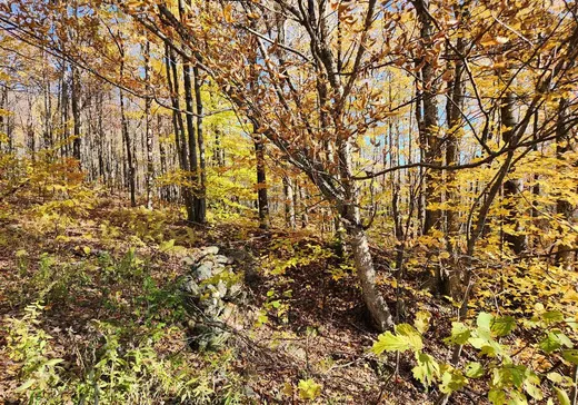 Terrain à vendre -  Ch. du Vallon, Lac-Brome, J0E2T0