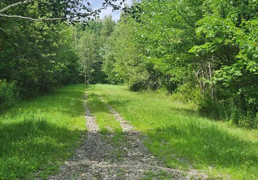 Terrain à vendre -  Ch. du Vallon, Lac-Brome, J0E 2T0