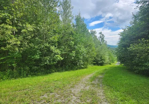 Terrain à vendre -  Ch. du Vallon, Lac-Brome, J0E 2T0
