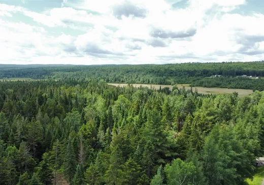 Land for Sale - 64 Ch. du Quatre-Milles, Lac-Mégantic, J0B 1Y0