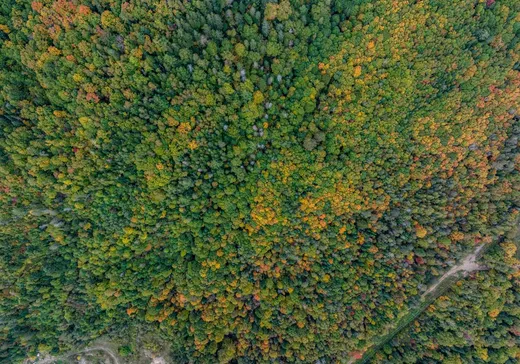 Terrain à vendre -  Ch. du Bois-Francs, St-Alexis-Des-Monts, J0K 1V0