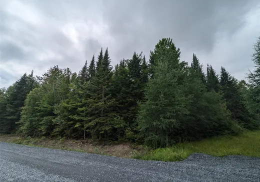 Terrain à vendre -  Ch. des Hauts-Cantons, Stratford, G0Y 1P0