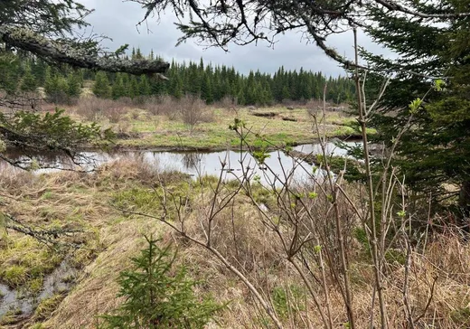 Land for Sale -  Route de la Station, Sainte-Apolline-de-Patton, G0R 2P0