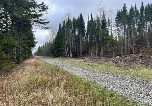 Land for Sale -  Route de la Station, Sainte-Apolline-de-Patton, G0R 2P0