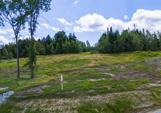 Land for Sale -  Rue Étienne-Desmarteau, Beaupré, H0H 0H0