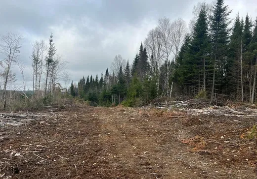 Land for Sale -  Route de la Station, Sainte-Apolline-de-Patton, G0R 2P0