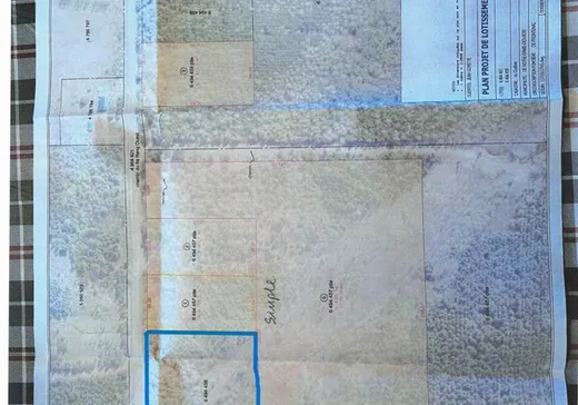 Terrain à vendre -  8e Rang O., Notre-Dame-Des-Boies, J0B 2E0