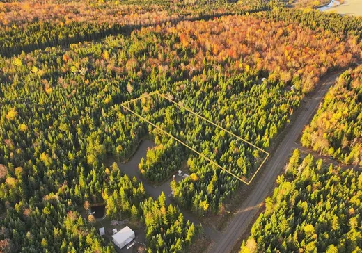 Terrain à vendre -  Ch. des Bouleaux, Lac-Mégantic, J0B 1Y0